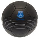 Futbalová lopta Everton FC 
