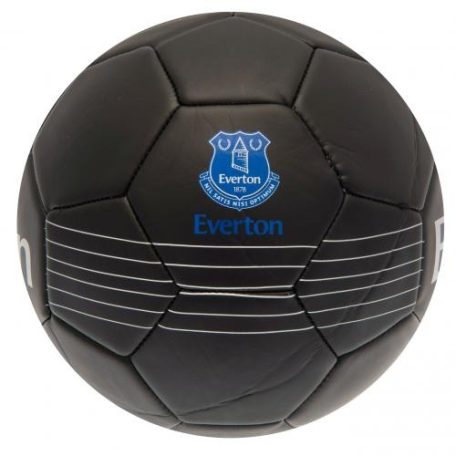 Futbalová lopta Everton FC 