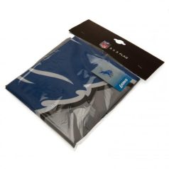 Veľká vlajka Detroit Lions