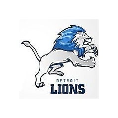 Detroit Lions 